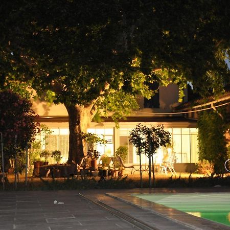 לינה וארוחת בוקר Entraigues-sur-la-Sorgue La Ferme De Tonton Jules Et Mame Julia מראה חיצוני תמונה